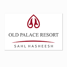 13 سويتش تو ديجيتال شركه تسويق الكتروني شركه تصميم مواقع