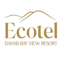 23 سويتش تو ديجيتال شركه تسويق الكتروني شركه تصميم مواقع