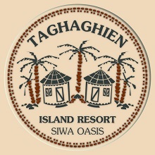 37 سويتش تو ديجيتال شركه تسويق الكتروني شركه تصميم مواقع