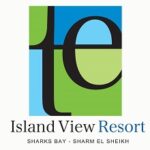 38 سويتش تو ديجيتال شركه تسويق الكتروني شركه تصميم مواقع