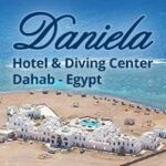 41 سويتش تو ديجيتال شركه تسويق الكتروني شركه تصميم مواقع