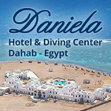 41 سويتش تو ديجيتال شركه تسويق الكتروني شركه تصميم مواقع