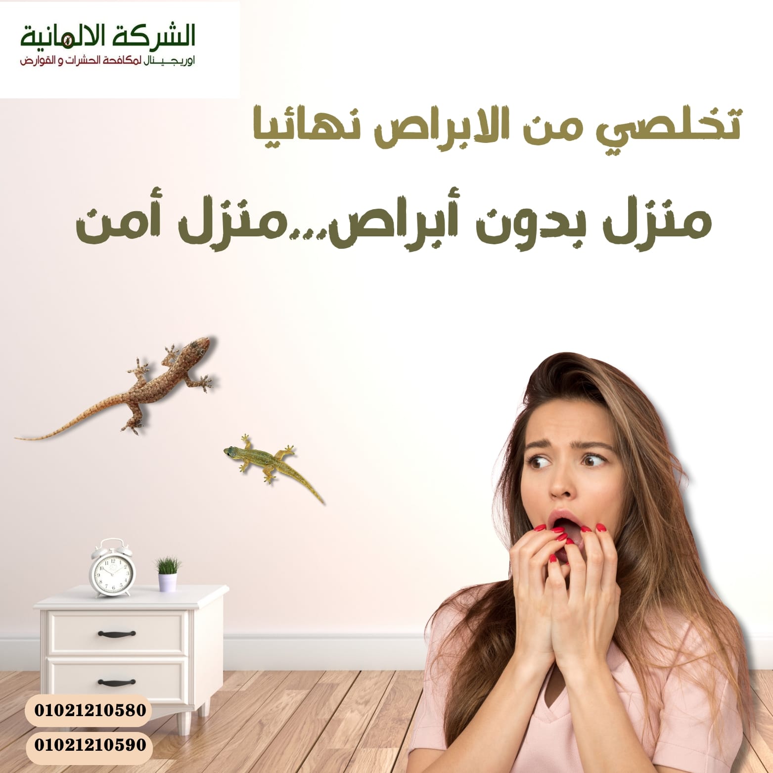 474003693 122184297854136728 2560571845523444226 n