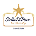 8 سويتش تو ديجيتال شركه تسويق الكتروني شركه تصميم مواقع