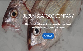 شركه تصميم مواقع