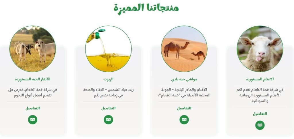 تصميم مواقع